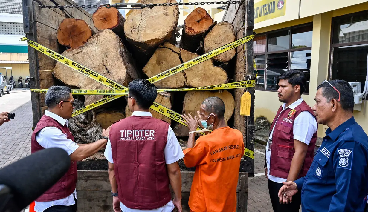 Kepolisian Resor Kota (Polresta) Banda Aceh menyita 13 batang kayu ilegal hasil hutan lindung dengan volume 7,77 kubik berjenis meudangbalur (rimba campuran). (CHAIDEER MAHYUDDIN/AFP)