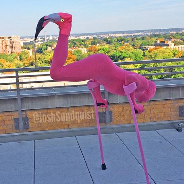 Jangan Terkecoh, 10 Potret Ini Buktikan Angle Bisa Menipu Mata