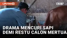 Kecewa Cinta Ditolak, Pemuda di Jember Curi Sapi Milik Calon Mertua