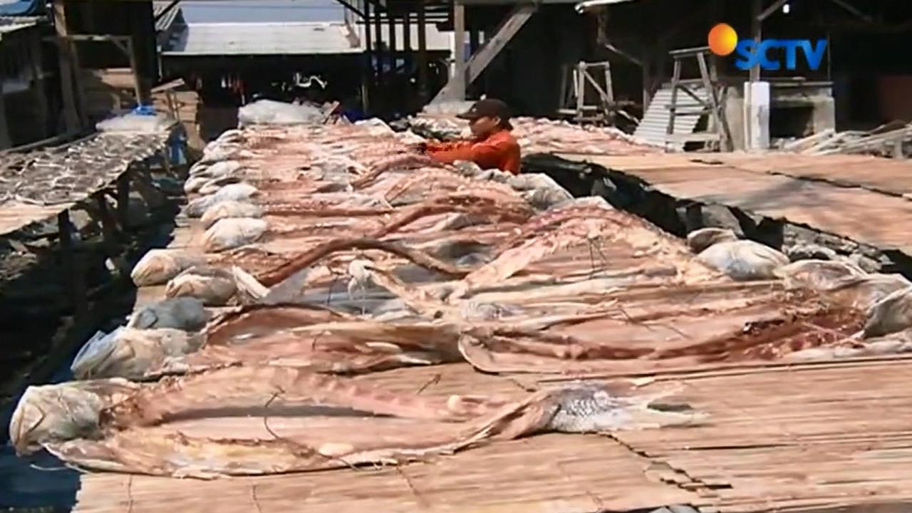 Garam Langka, Produksi Pengeringan Ikan Turun 70 Persen
