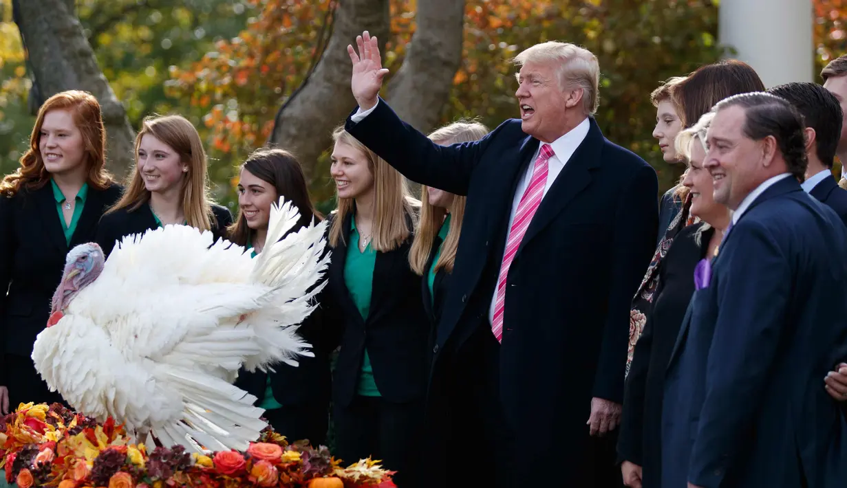 Presiden Donald Trump mengampuni kalkun dalam upacara pengampunan Turki Thanksgiving yang ke 70 tahun sebagai Taman Mawar Gedung Putih di Washington, AS, (21/11). (AP Photo / Evan Vucci)