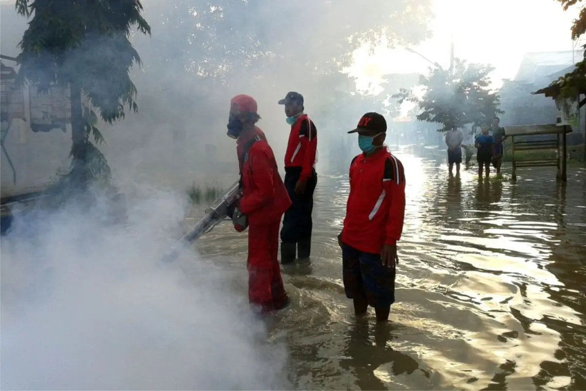 Foging atau pengasapan di wilayah terdeteksi DBD. (Foto: Liputan6.com/Muhamad Ridlo)