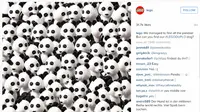 Teka-Teki Mencari Anjing Dikerumunan Panda yang Jadi Viral
