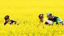 Tiga pembalap sepeda melintas di ladang rapeseed dengan hamparan bunga kuning yang cerah saat mengikuti perlombaan Tour de Romandie UCI ProTour ke-72 di Bottens, Swiss (29/4). (Laurent Gillieron / Keystone via AP)
