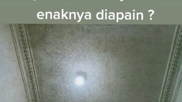 Mirip Peternakan, Potret Plafon Rumah Penuh Nyamuk Ini Bikin Merinding