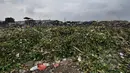 Tumpukan sampah bercampur dengan eceng gondok menggunung di Waduk Pluit, Jakarta, Jumat (13/2/2015). Sampah-sampah tersebut tampak mengapung di permukaan waduk.(Liputan6.com/Faizal Fanani)