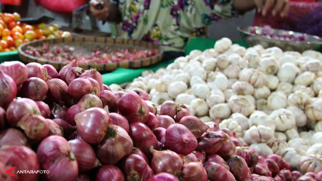 bawang-putih-130321b.jpg