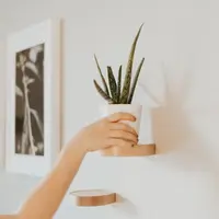 Ilustrasi lidah buaya. Sumber foto: unsplash.com/Gades Photography.