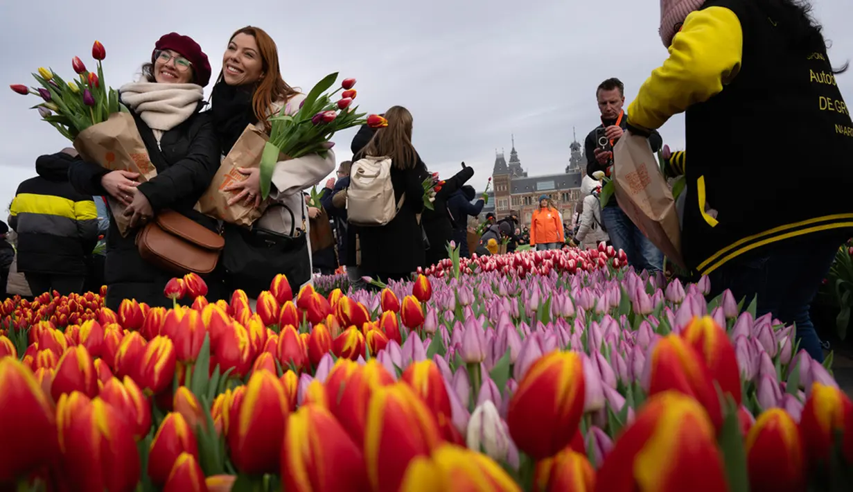 Tidak hanya bunga tulip yang bisa dinikmati, tapi juga berbagai jenis bunga lainnya seperti mulai hyacinth, daffodil, bahkan anggrek. (AP Photo/Peter Dejong)