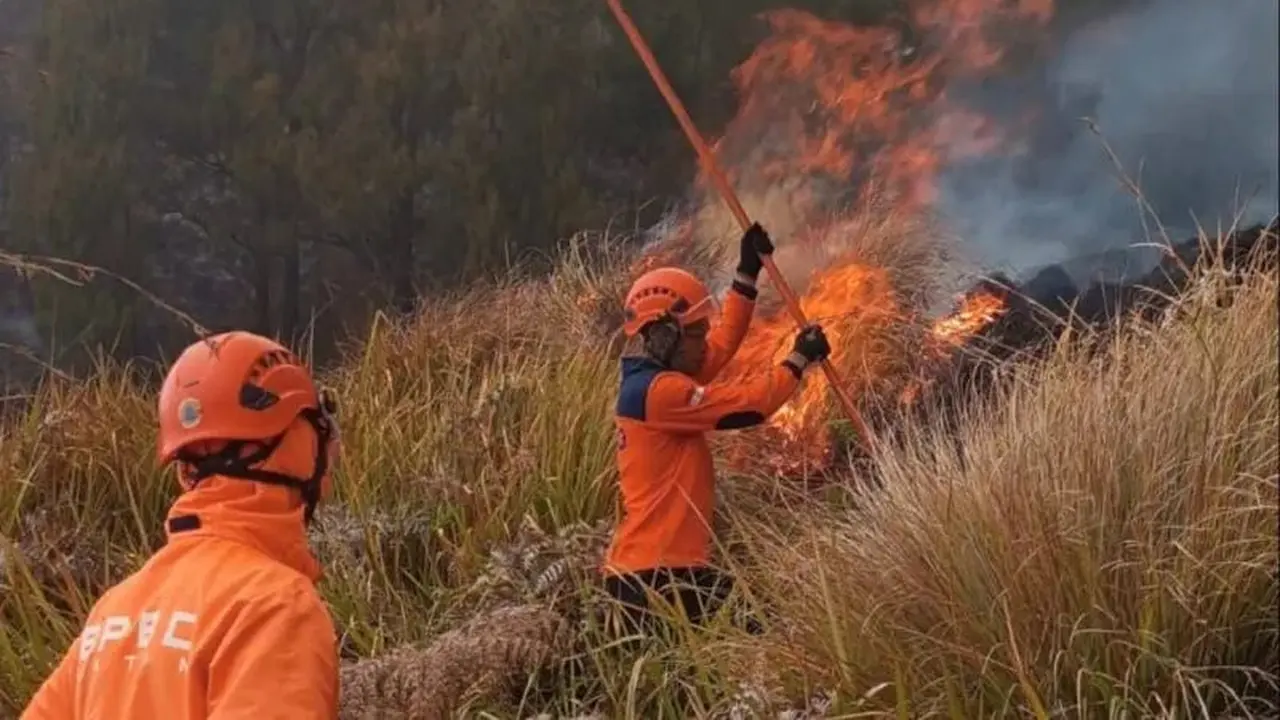 Penanganan Karhutla di kawasan Gunung Bromo. (Dok. Istimewa).