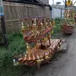 Kapal Panjang Mulud menjadi salah satu tradisi warga Serang untuk merayakan Maulid Nabi (Liputan6.com / Nefri Inge)