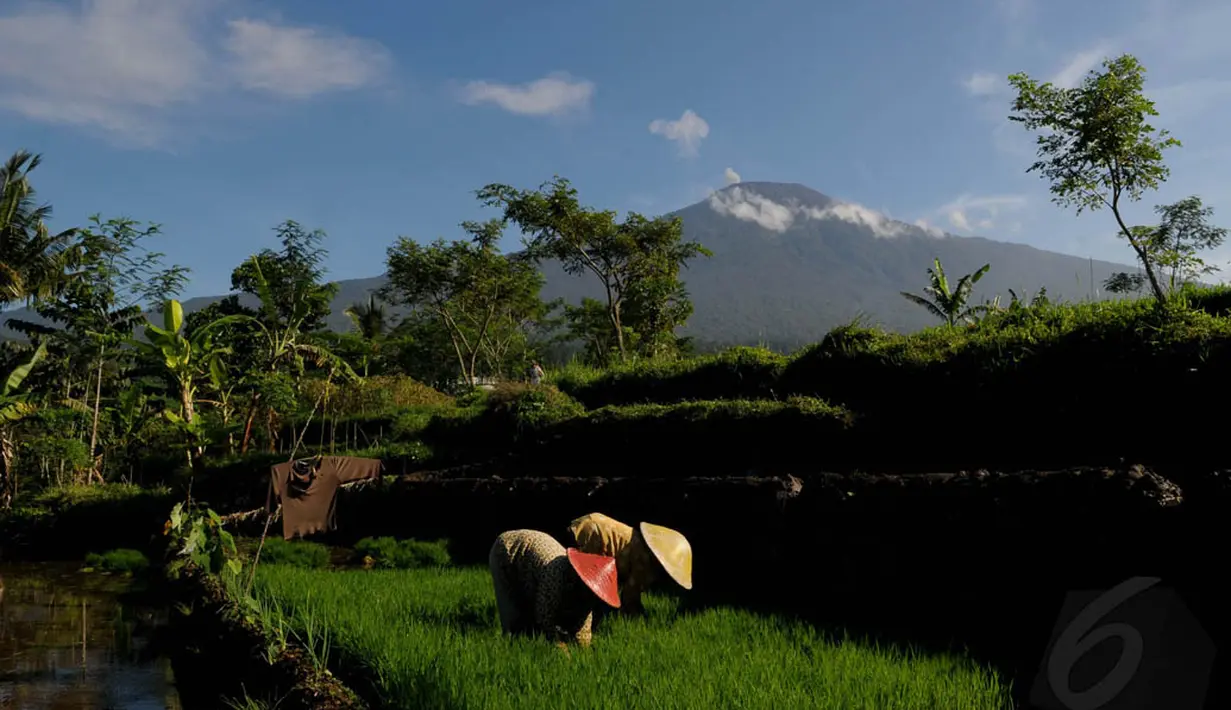 Gunung Slamet cukup populer sebagai sasaran pendakian meskipun medannya dikenal sulit. (Liputan6.com/Andrian M Tunay)