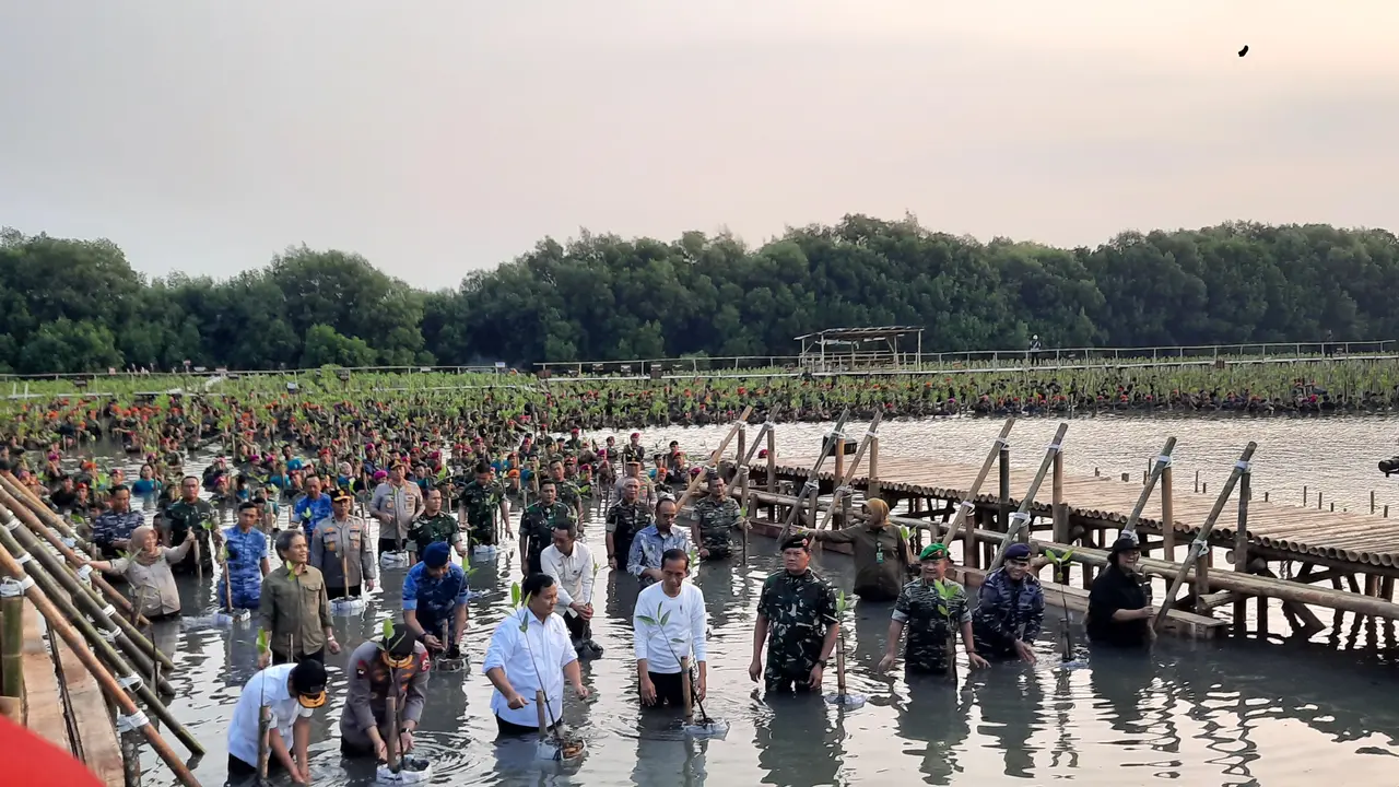 Presiden Joko Widodo atau Jokowi dan Menteri Pertahanan Prabowo Subianto ikut menanam mangrove di Taman Wisata Alam Angke Jakarta Utara, Senin (15/5/2023)