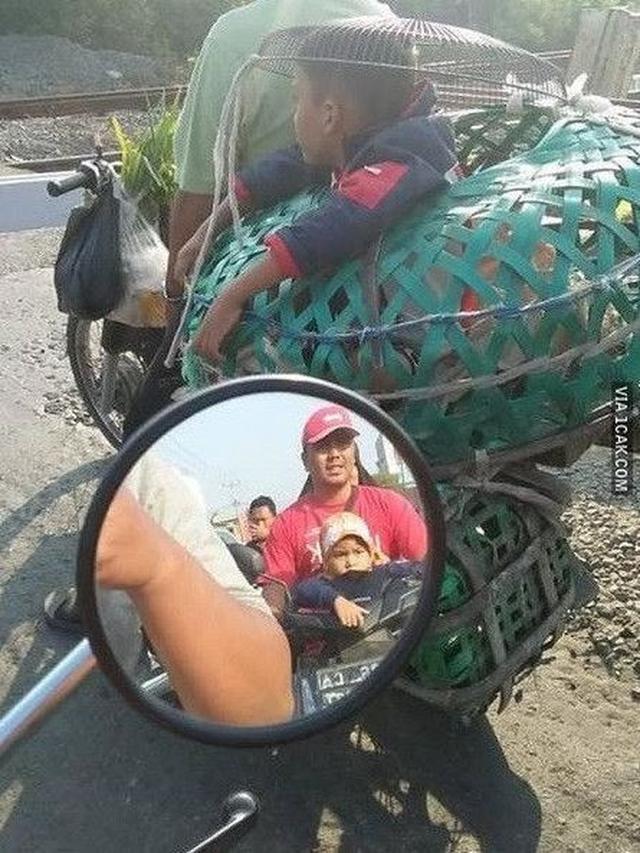 6 Tingkah Absurd Orang Masuk Kandang, Enggak Habis Pikir