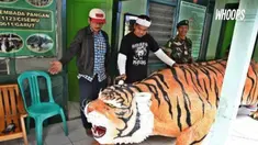 Digantinya patung macan atas perintah Panglima Kodam Siliwangi Mayor Jenderal Herindra.