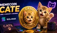 Harga Memecoin CATE Melonjak 25%, Video Anak Kucing Jadi Pemicu