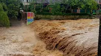 Sungai Ciliwung di Bogor mengalami keruh yang melewati ambang batas, yakni mencapai 5.000-6.000 NTU (Nephelometric Turbidity Units). (Liputan6.com/Achmad Sudarno)