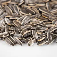 Ilustrasi biji bunga matahari. Foto: unsplash.com.