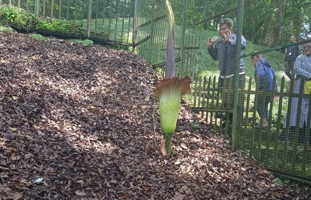 Asa Dongkrak Kunjungan Wisatawan