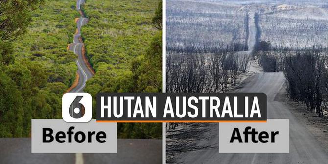 VIDEO: Potret Sebelum dan Sesudah Kebakaran Hutan Australia
