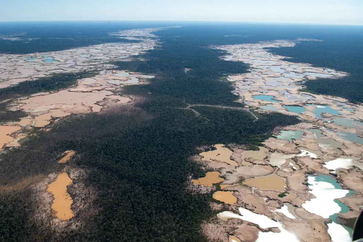 Kerusakan Hutan Amazon Akibat Penambangan Ilegal