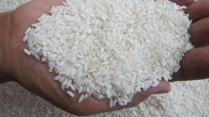 Beras Plastik dan Tercemar dari China