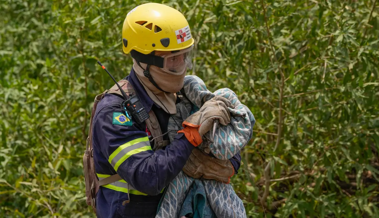 Burung yang terluka tersebut langsung dibawa untuk mendapat perawatan. (AP Photo/Andre Penner)