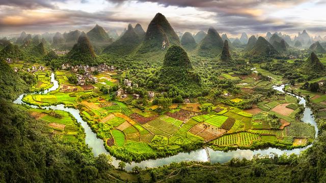 Download 70 Gambar Flora Dan Fauna Myanmar Terbaru Gratis HD