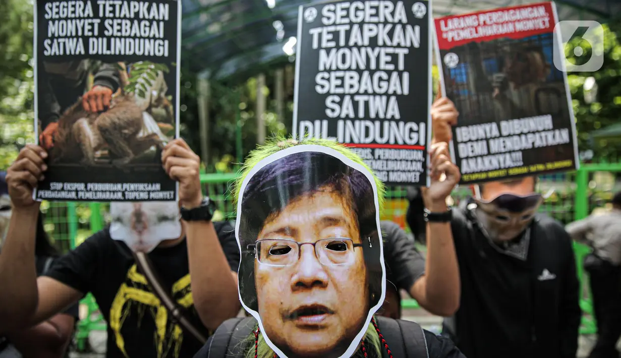 Massa yang tergabung dalam Koalisi Primates Fight Back mengenakan topeng Menteri Lingkungan Hidup dan Kehutanan (LHK) Siti Nurbaya Bakar saat melakukan aksi di depan Kantor Kementerian Lingkungan Hidup dan Kehutanan, Jakarta, Senin (12/12/2022). Dalam aksinya mereka mendesak pemerintah untuk menetapkan monyet sebagai satwa dilindungi. (Liputan6.com/Faizal Fanani)