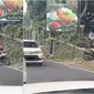 Viral video ular hijau bikin macet jalan, sejumlah pengendara motor takut mau lewat. (Sumber: TikTok/@breadyshop)