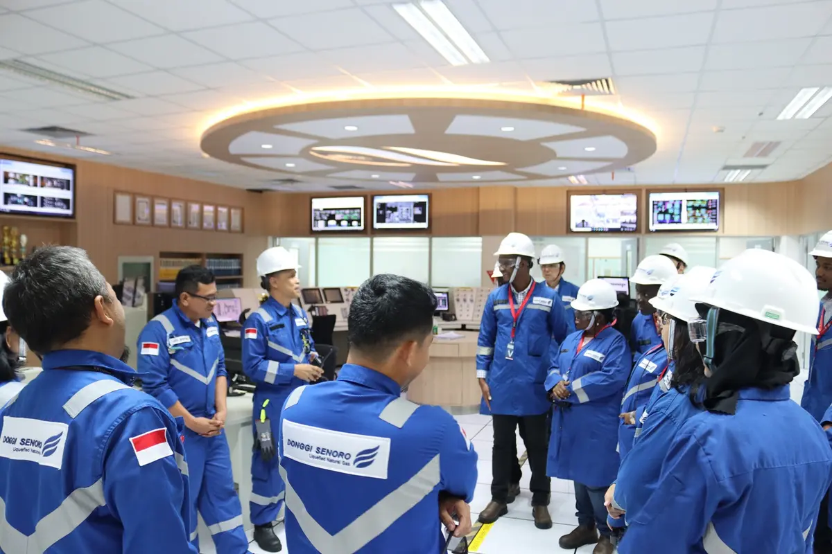 PT Donggi-Senoro LNG (DSLNG)