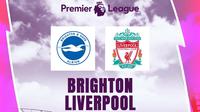 Liga Inggris - Brighton Vs Liverpool (Bola.com/Adreanus Titus)