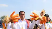 Menteri Pertanian, Andi Amran Sulaiman (Mentan Amran) didampingi Walikota Medan, Bobby Afif Nasution, melakukan panen dan tanam jagung di Kota Medan.