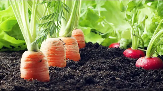 Courtesy ShutterStock.com