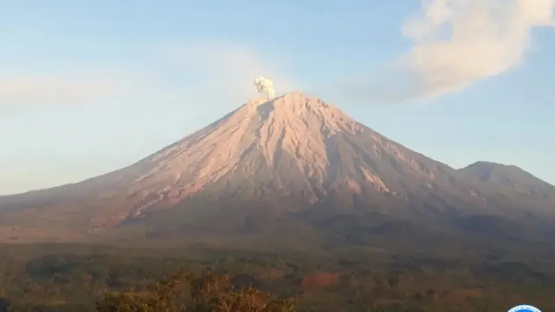 Gunung Semeru kembali erupsi pada Jumat hari ini. (Istimewa)