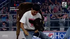 “Houston livestock and rodeo” merupakan acara pameran ternak dan rodeo terbesar di dunia.