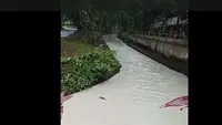Warga Cium Aroma Minyak Tanah dari Air PDAM, Imbas Sungai Cisadane Diduga Tercemar Pestisida