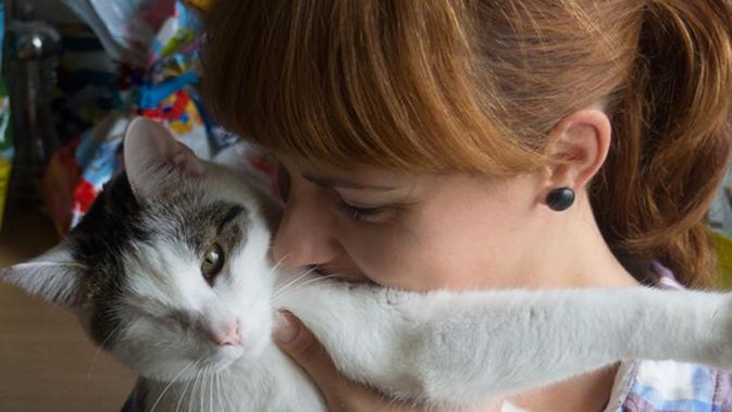 Pirat Kucing Bermata Satu Yang Diselamatkan Dari Jalanan Fimela Fimela Com