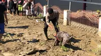 Tampak anjing K9 Dit Sabhara Polda Sulsel berupaya mengendus keberadaan jasad korban gempa Palu yang tertelan lumpur (Humas Polda Sulsel/ Eka Hakim)