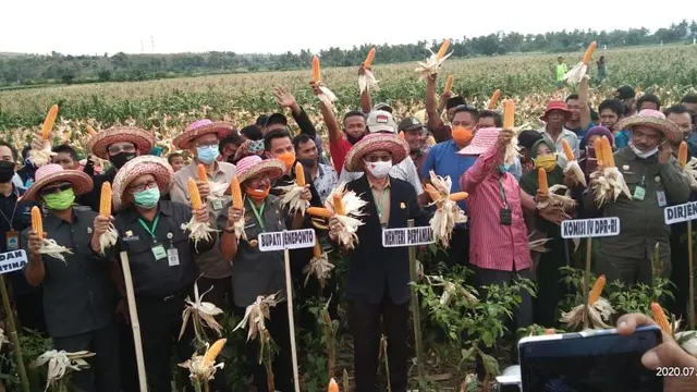 Mentan Syahrul Yasin Limpo menyerahkan bantuan dalam rangka panen raya jagung di Desa Karelayu, Kecamatan Tamalatea, Kabupaten Jeneponto, Sulawesi Selatan. (Dok Kementan)