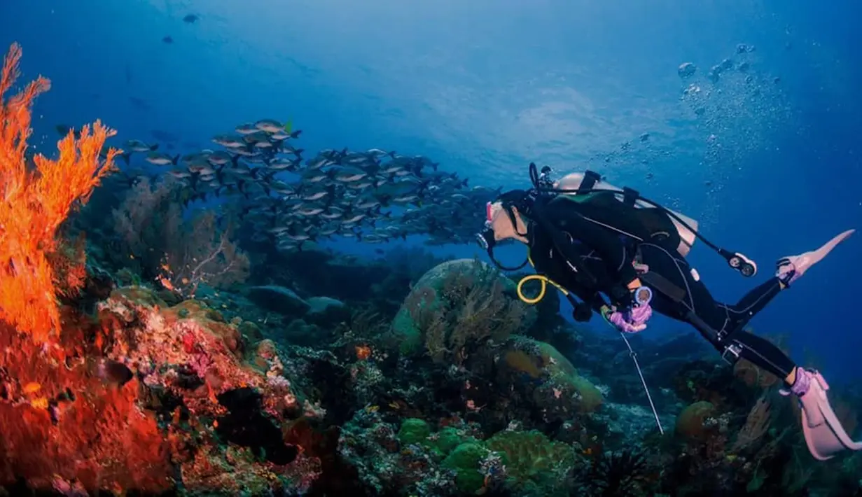 Tak hanya berkunjung di gunung ataupun air terjun, peraih gelar Miss Fotogenic ini juga hobi menyelam.  Momen Della saat menikmati pemandangan bawah laut Raja Ampat. Wanita kelahiran 1989 ini mengaku selalu rindu dan ingin kembali ke Raja Ampat. (Liputan6.com/IG/delladartyan)