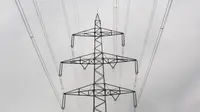 Seorang pria yang terjatuh dari tiang listrik dengan ketinggian 30 meter dan tersengat listrik bertegangan 20 ribu volt selamat dari maut. 