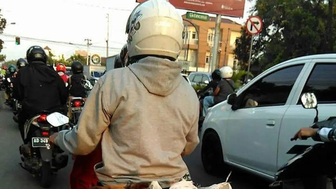 [Bintang] Anjing 
