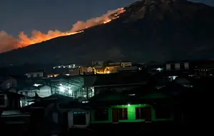 Karhutla Meluas di Lawu dan Sumbing, Jalur Pendakian di Jateng Diminta Ditutup