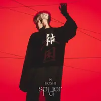 Hoshi Seventeen (Instagram/kwonsonyoung)