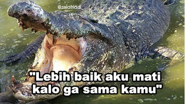 6 Meme Modus Buaya Darat Ala Netizen Ini Sukses Bikin Geregetan Hot