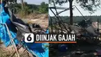 Insiden mengerikan terjadi saat para penebang kayu tengah tidur di hutan Chachoengsao, Thailand. Kawanan gajah liar mengamuk dan menyerang salah satu pekerja dengan cara menginjak-nginjaknya. Sedangkan pekerja lainnya berhasil menyelamatkan diri.