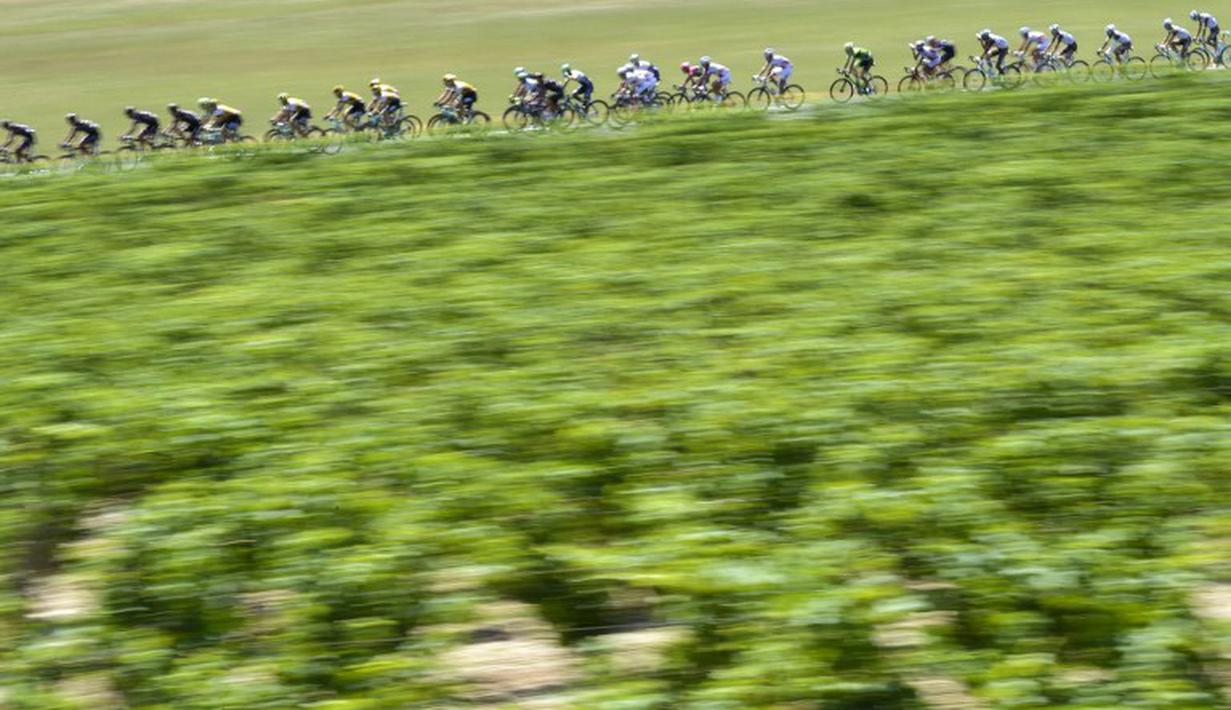 Para pebalap sedang berlomba di Etape 16 Tour de France 2015 yang berjarak 201-km dari Bourg-de-Peage menuju Gap, Prancis. (20/7/2015) (AFP PHOTO/JEFF PACHOUD)