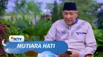 Hati nurani adalah potensi dalam diri manusia yang mengilhaminya kebaikan dan mendorongnya untuk melakukannya serta memberinya rasa puas karena memujinya. Nurani bukanlah jaminan kecuali jika cahayanya bersumber dari Ilahi.