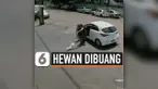THUMBNAIL DIBUANG